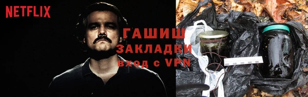 гашик Козельск