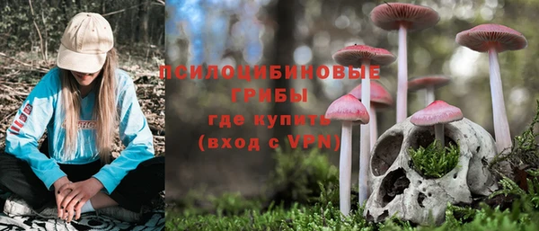 амф Балахна