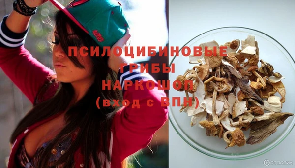 амф Балахна
