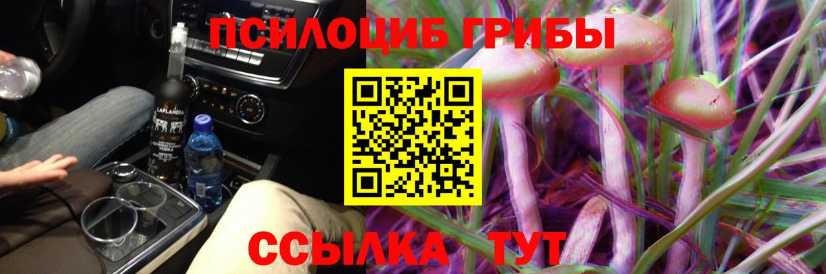 МЕФ Унеча