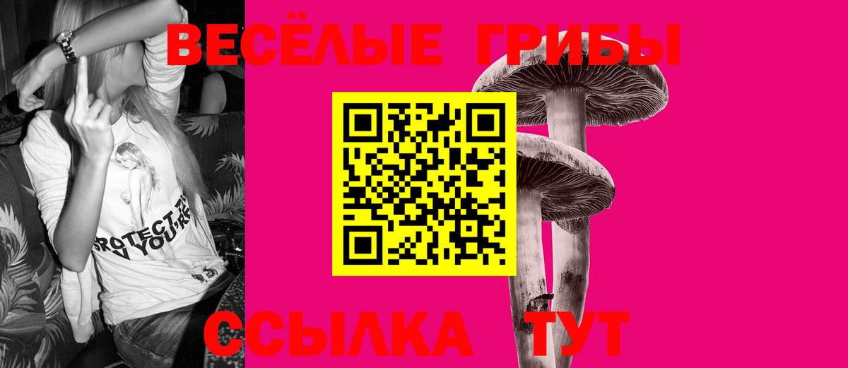 Унеча  Галлюциногенные грибы Psilocybe  цены   Вход с VPN 